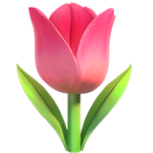 🌷